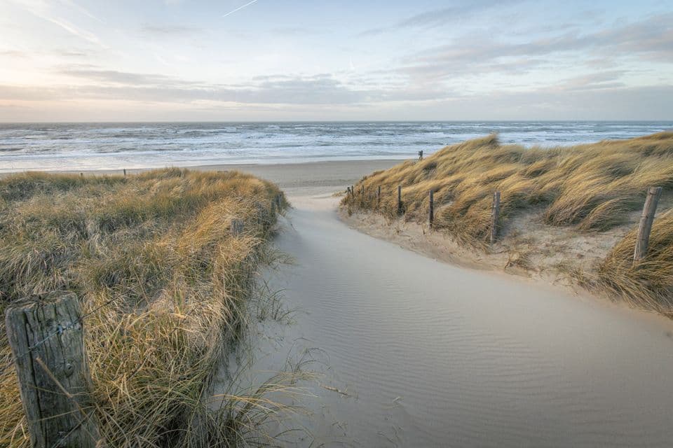 Coastal dune path leading to the sea, Noordwijk